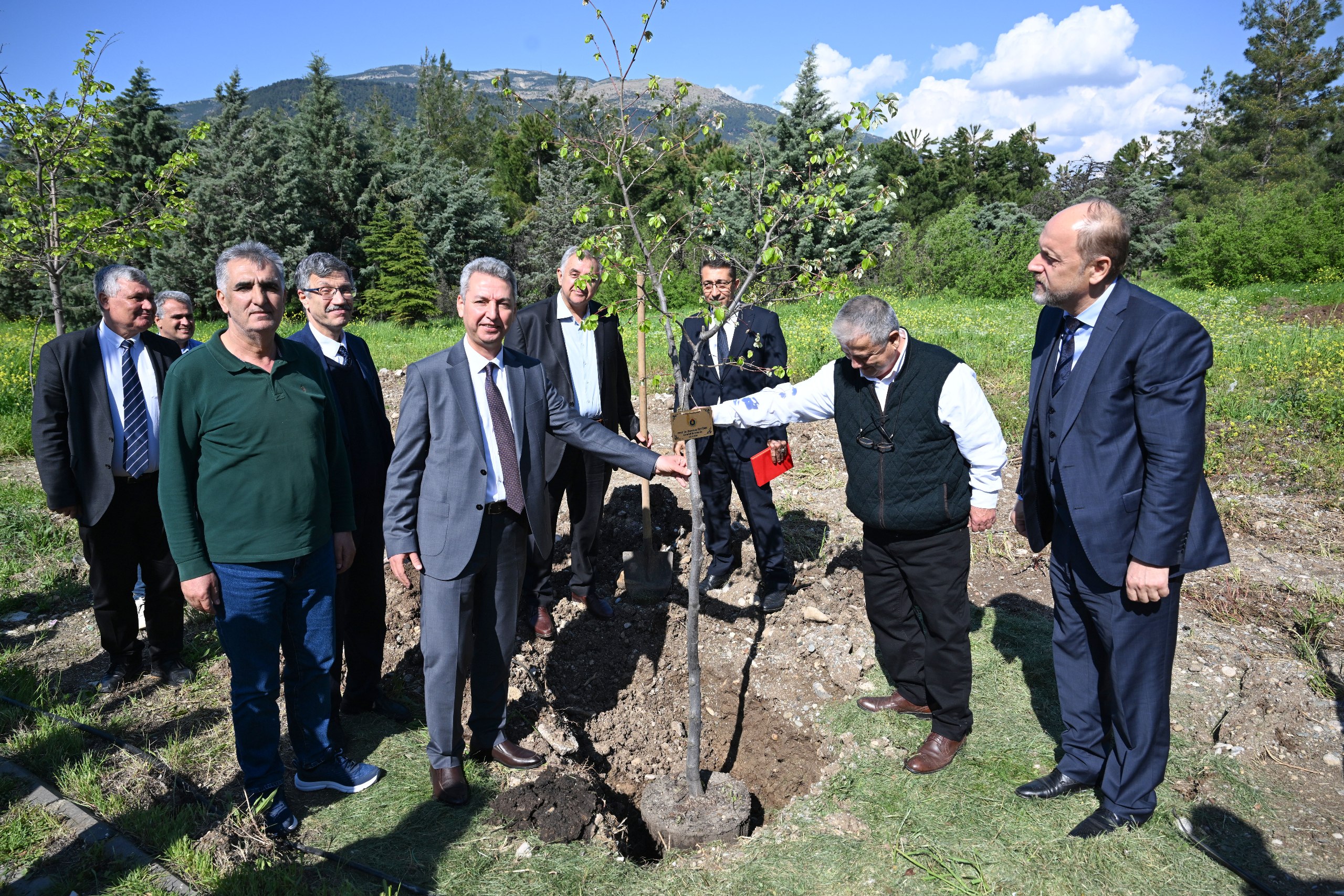 İçerikle ilgili görsel 10