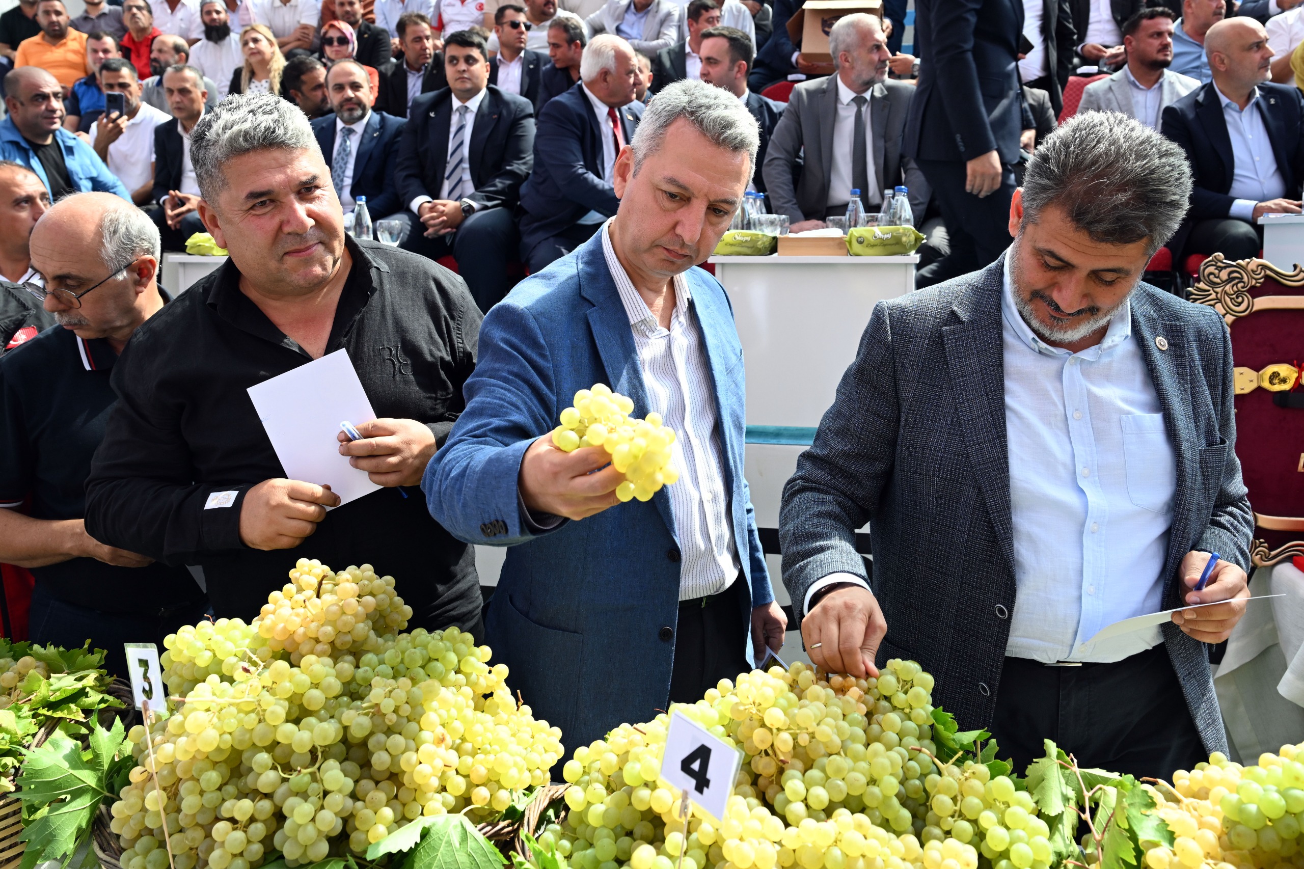 İçerikle ilgili görsel 14