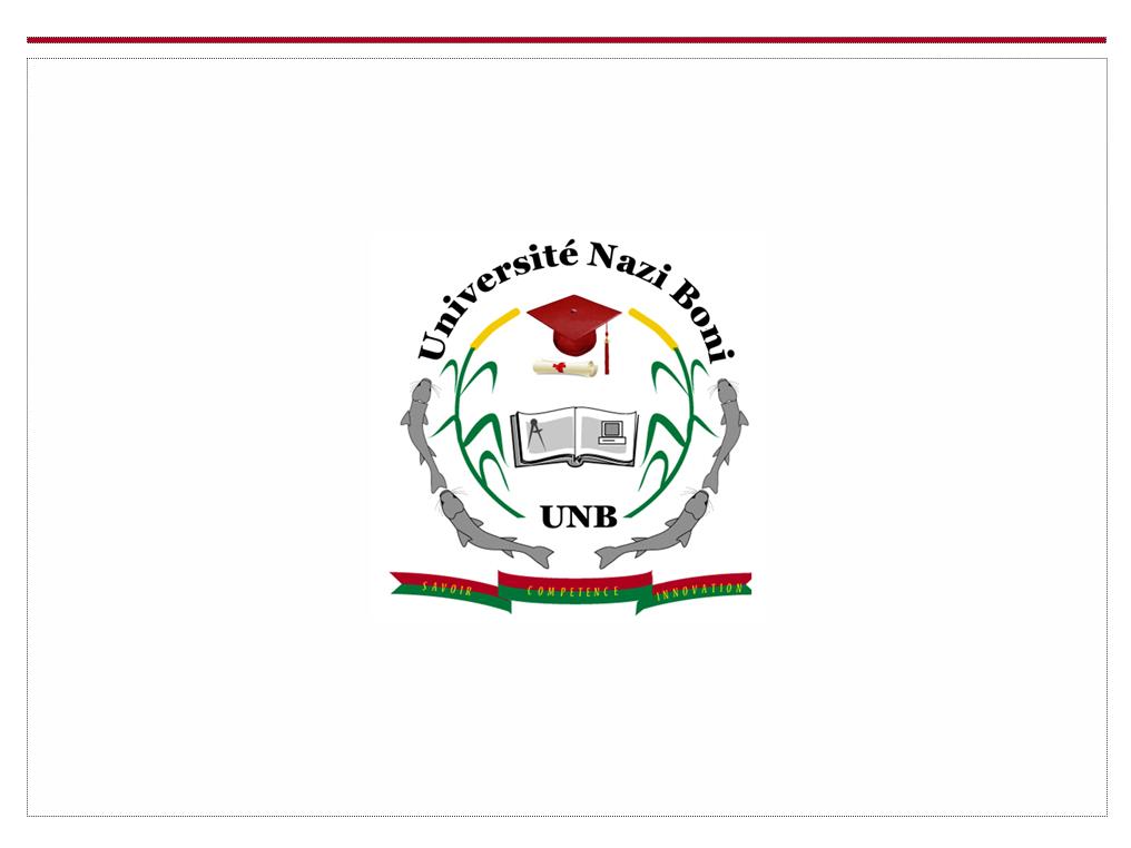 Nazi Boni University 
